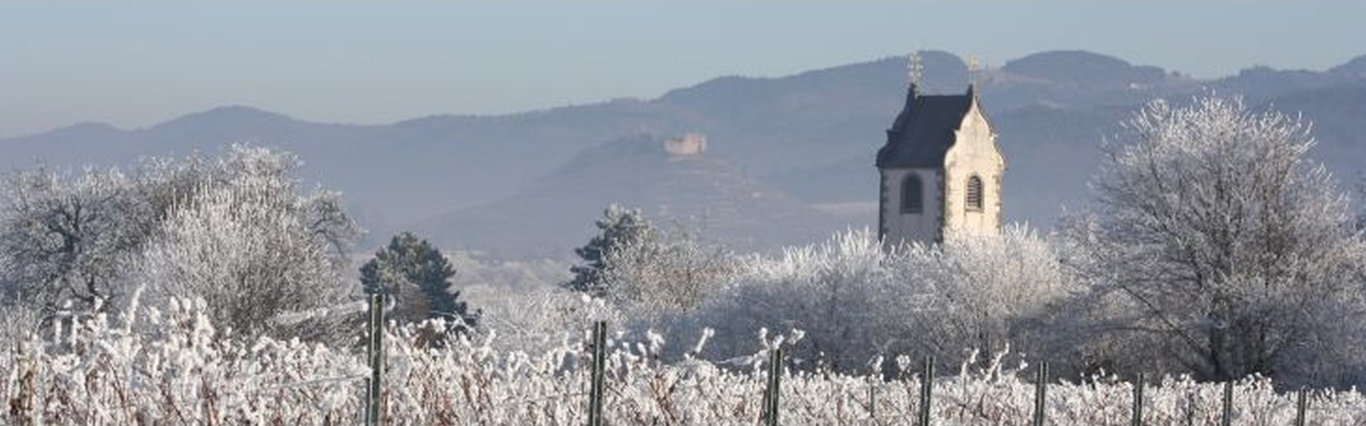 Wettelbrunn im Winter
