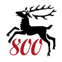 logo800jahre